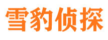 隆化寻人公司